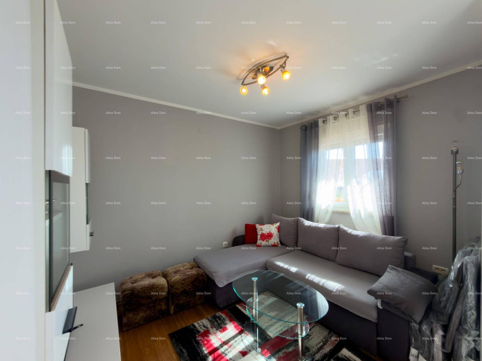 Wohnzimmer mit grauem Ecksofa, Couchtisch und modernem Teppich.