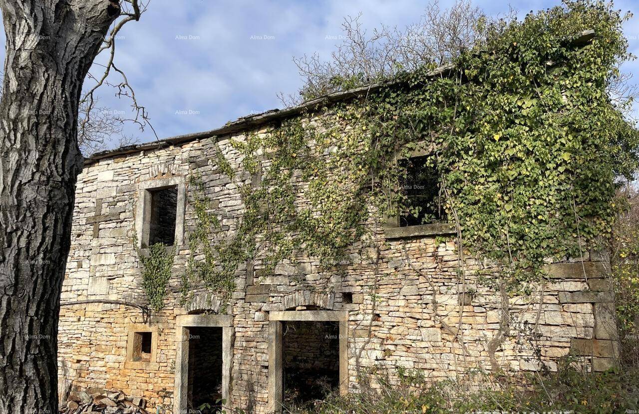 Nahaufnahme des verfallenen Steinhauses mit sichtbaren Steinmauern und starkem Efeubewuchs.