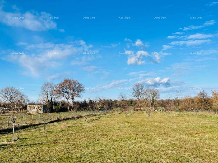 Offenes Grundstück mit jungen Bäumen und weitem Blick in die Landschaft.