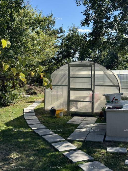 Gewächshaus im Garten mit Steinplattenweg und umgebenden Bäumen an einem sonnigen Tag.