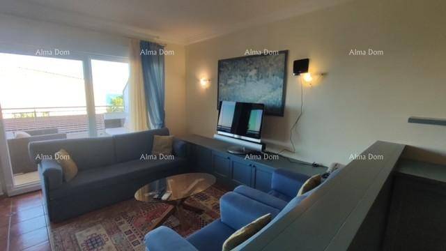 Gemütliches Wohnzimmer mit blauen Sofas, Fernseher und Zugang zur sonnigen Außenterrasse.