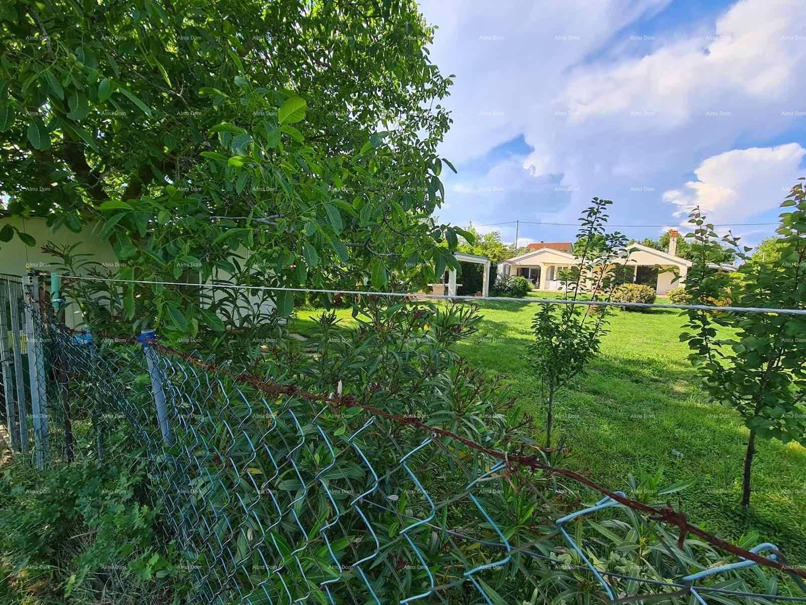 Blick auf das Haus und den weitläufigen Garten durch einen Maschendrahtzaun an einem sonnigen Tag.