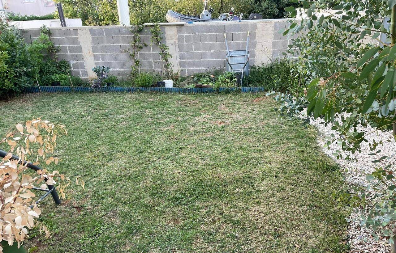 Einfacher Garten mit Rasenfläche und einer Mauer im Hintergrund.
