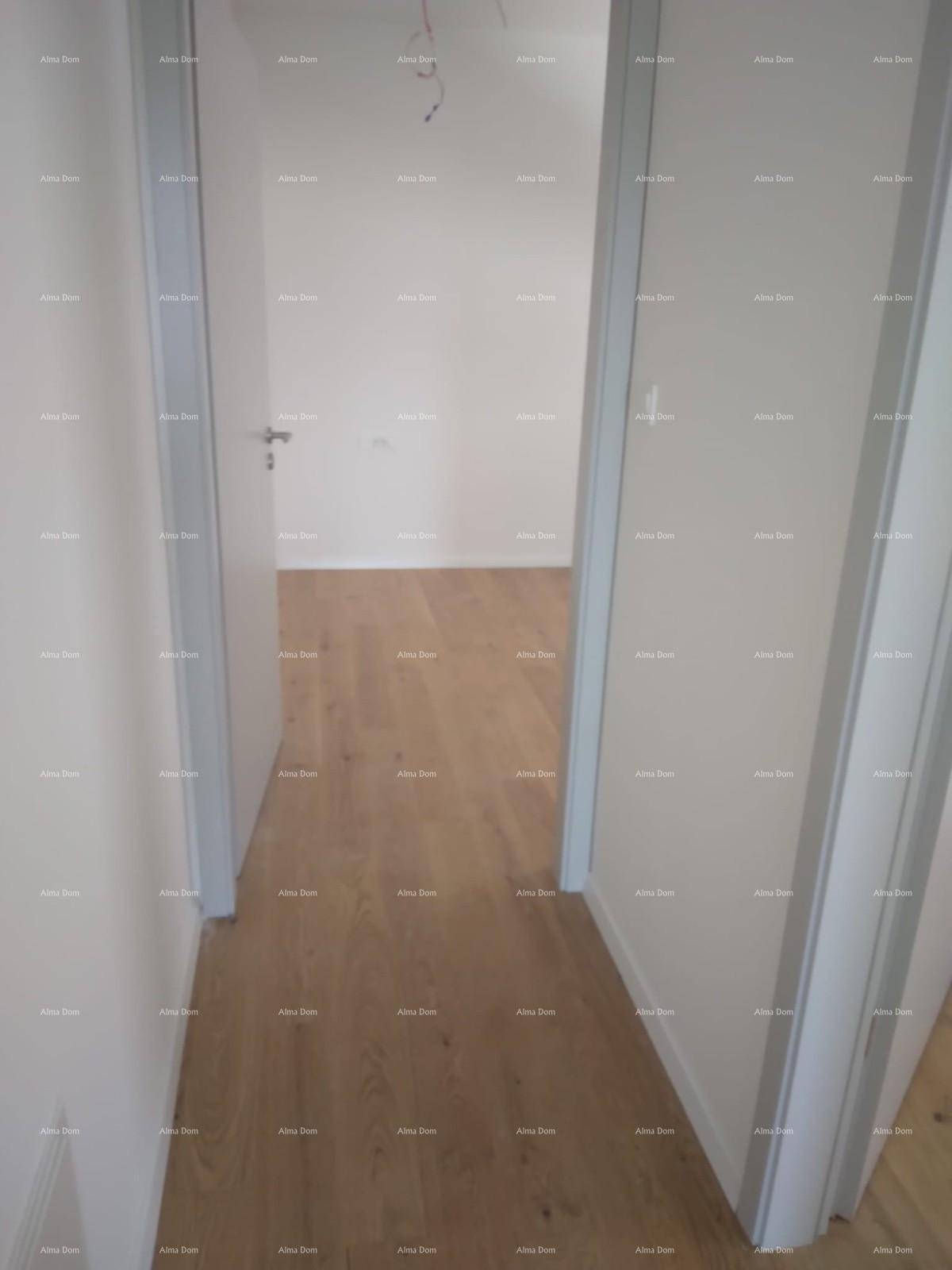 Heller Flur mit Holzboden, weißen Wänden und mehreren Türen zu angrenzenden Räumen.