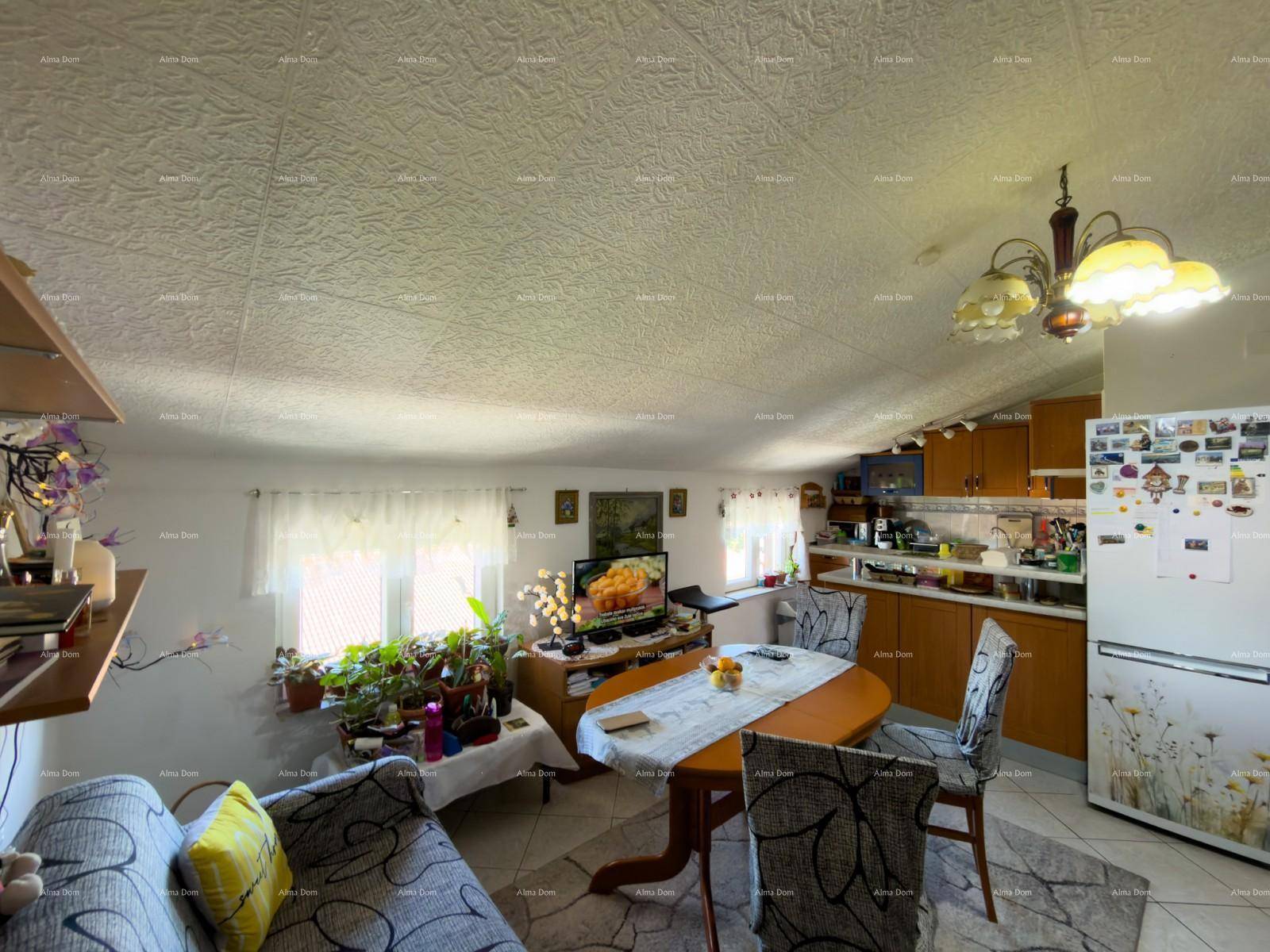 Offener Wohn-Essbereich mit integrierter Küche, Esstisch, Sofa und einem Kühlschrank.