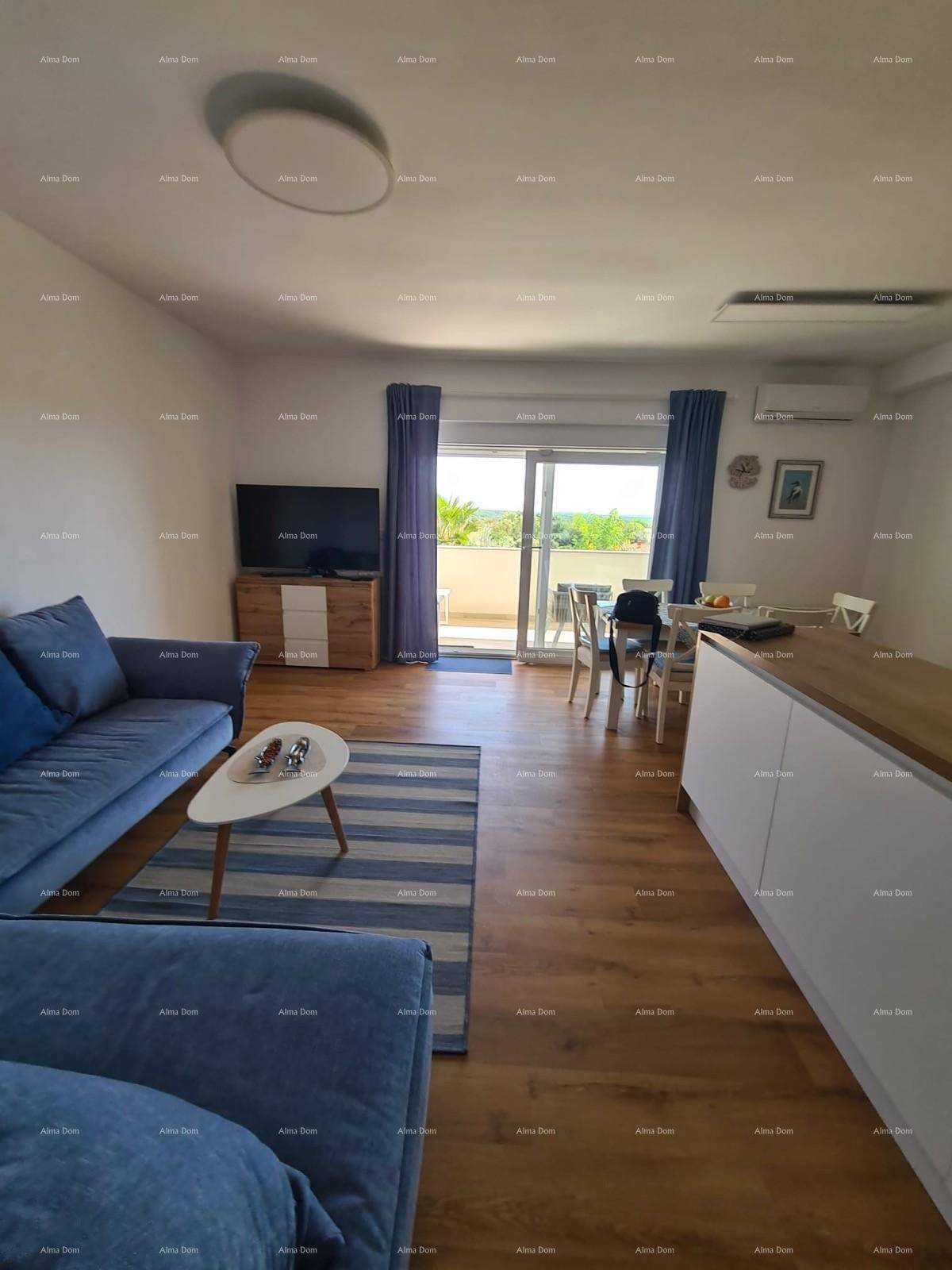 Heller Wohn- und Essbereich mit blauem Sofa, Holzboden und Zugang zu einem sonnigen Balkon.