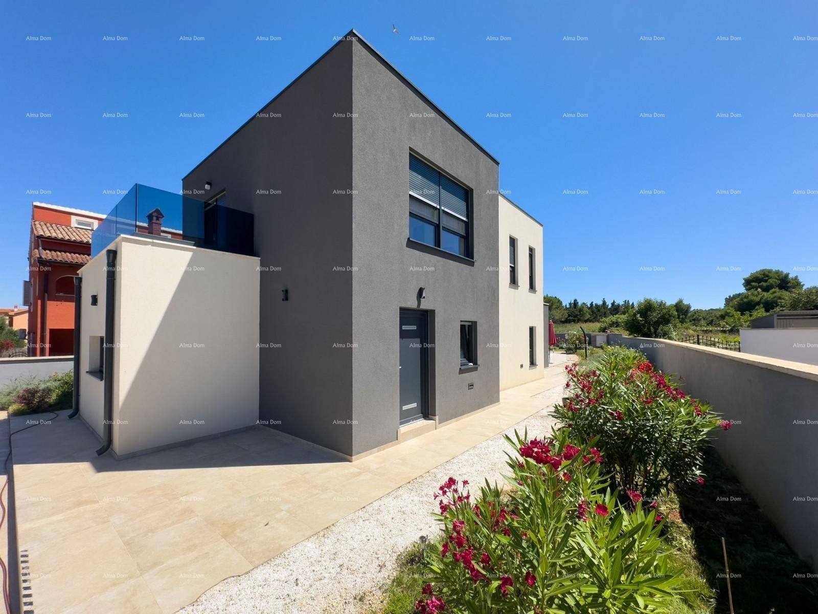 Moderne Villa mit dunkler Eingangstür, weißem Kiesweg und blühenden Pflanzen im Vorgarten.
