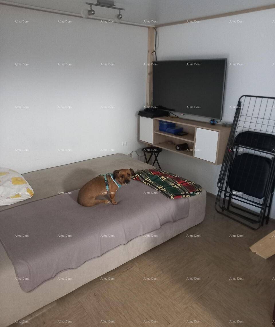 Gemütliches Schlafzimmer mit einem bequemen Bett und einem an der Wand montierten Fernseher.