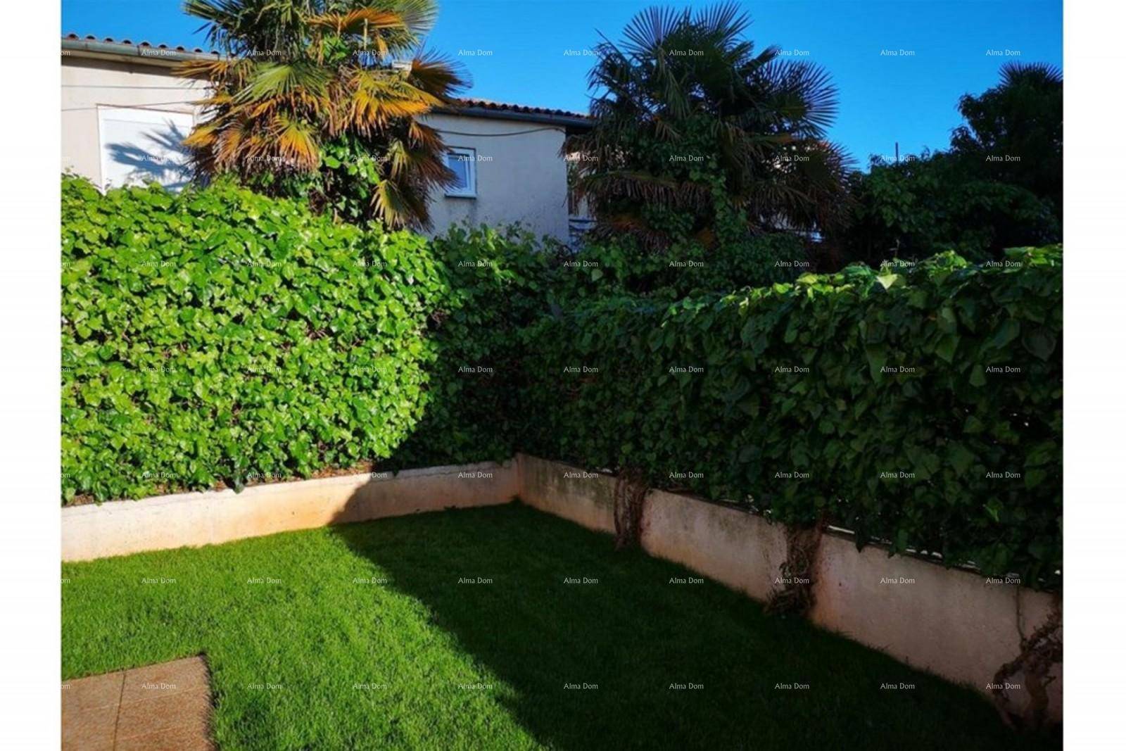 Gepflegter Gartenbereich mit Rasenfläche, Kletterpflanzen und Palmen.