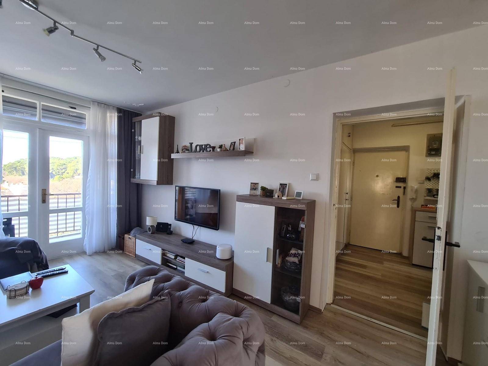 Helles Wohnzimmer mit bequemer Couch, Fernseher und Blick nach draußen.