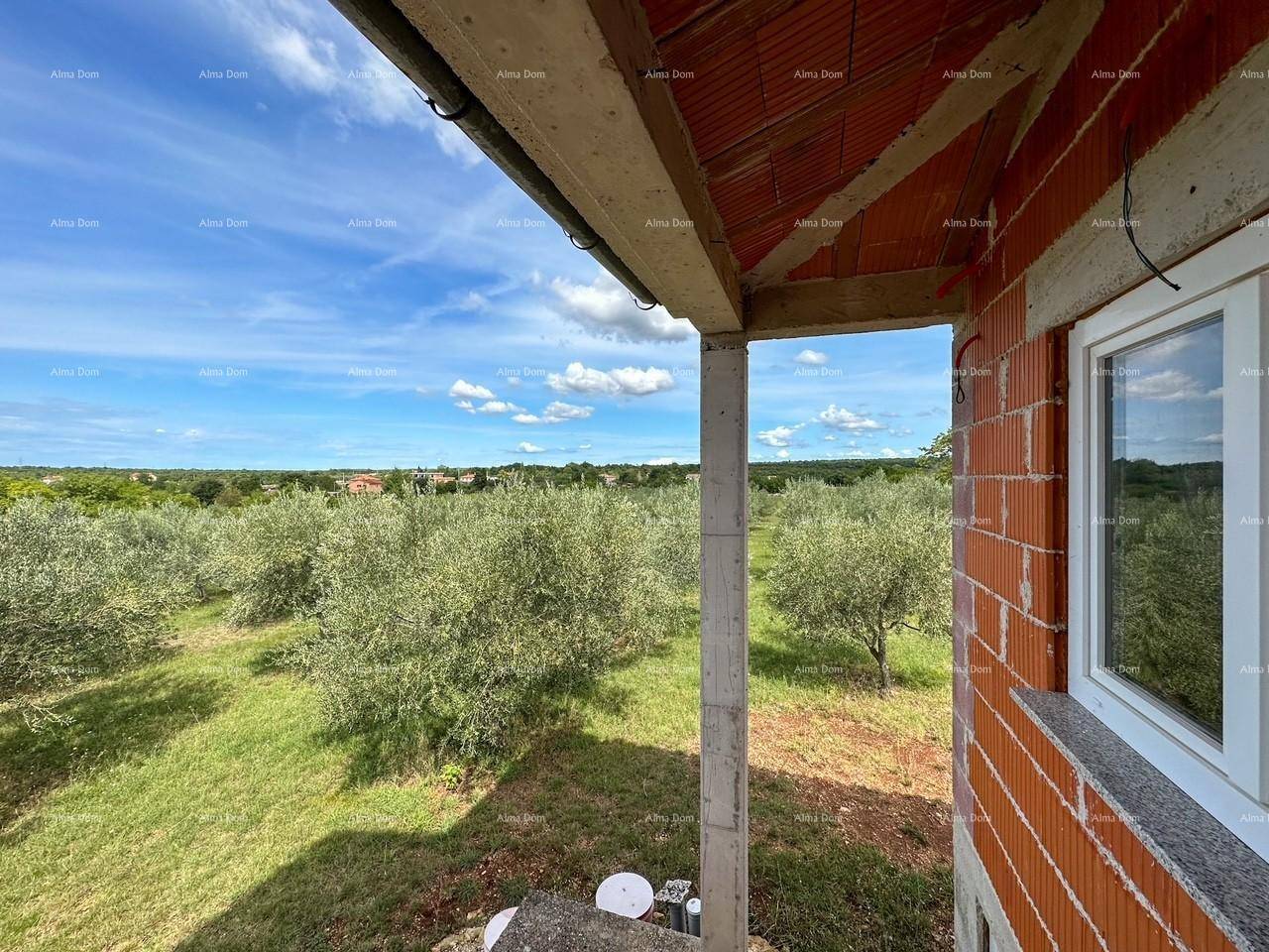 Aussicht von einem überdachten Bereich auf eine weite Landschaft mit Olivenbäumen.