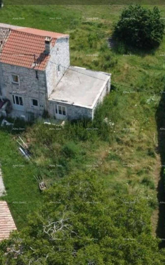 Draufsicht auf ein altes Steinhaus mit Ziegeldach und verwildertem Grundstück, umgeben von Natur.