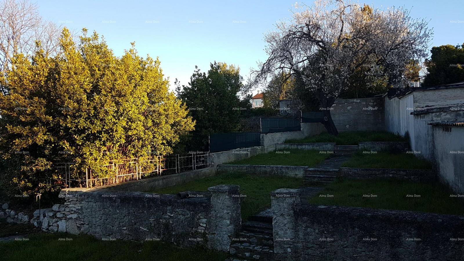 Weiter Blick auf den sonnigen, terrassierten Gartenbereich mit Steinmauern, Bäumen und viel Grün.