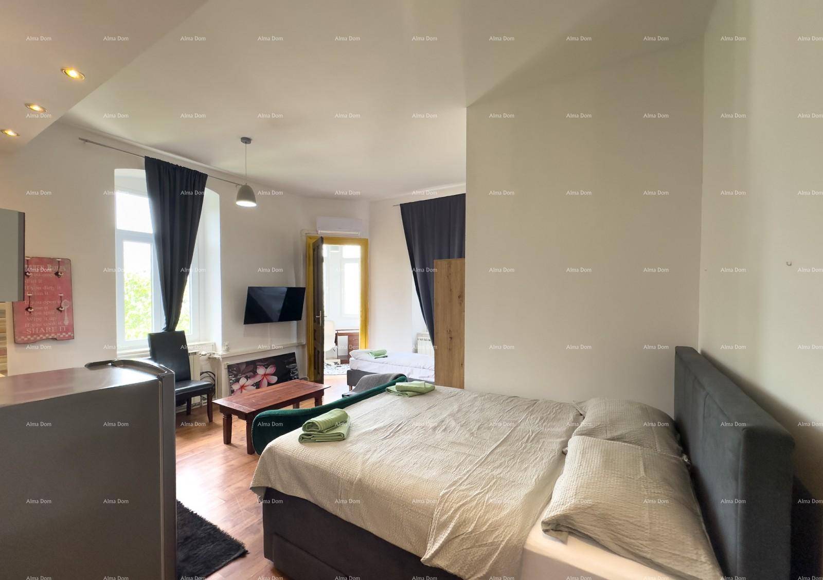 Offener Wohnbereich mit Bett, Sitzgelegenheit und Blick auf eine kleine Küchenzeile.