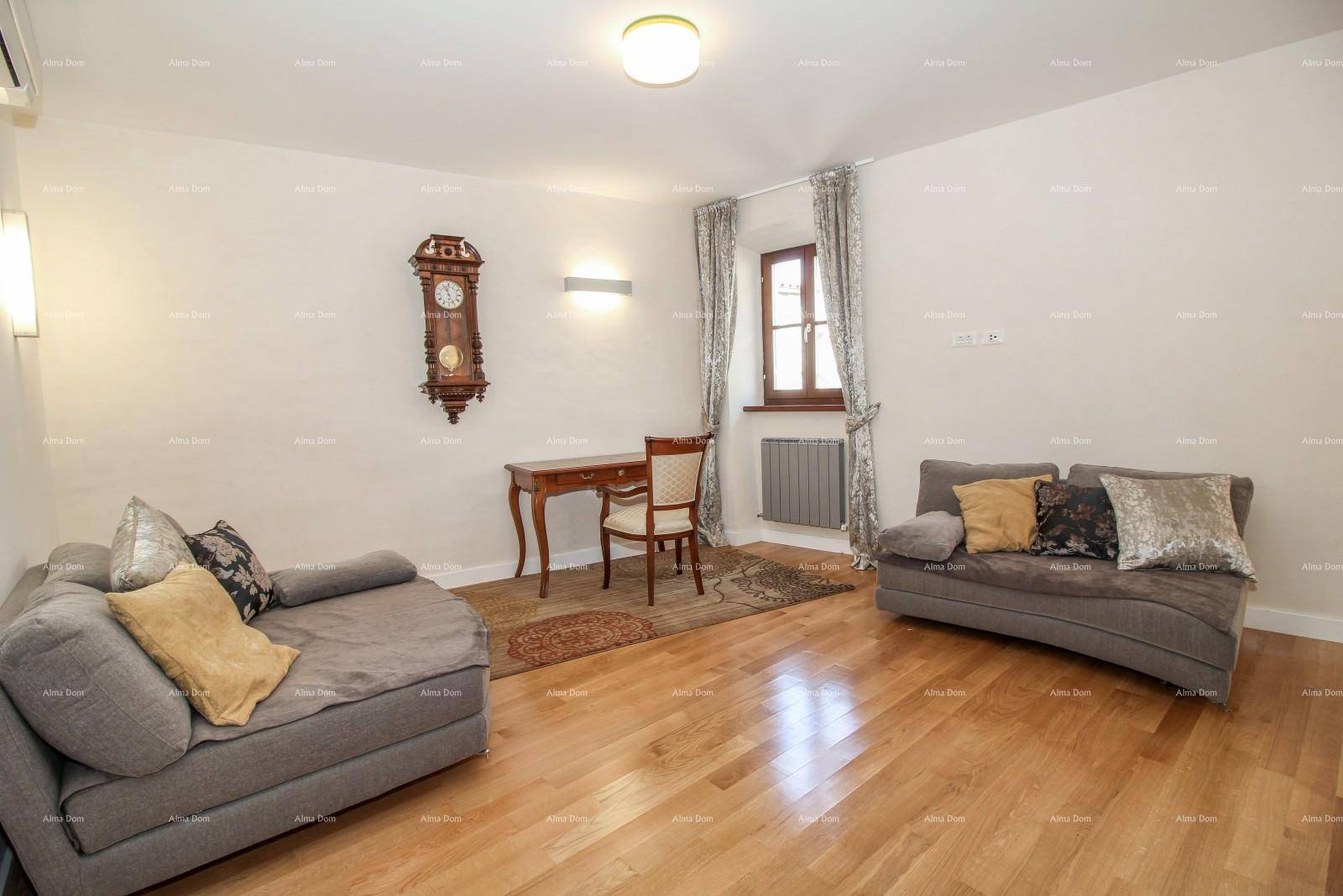 Gemütliches Wohnzimmer mit Holzboden, zwei Sofas und einem antiken Wanduhr als Dekoration.