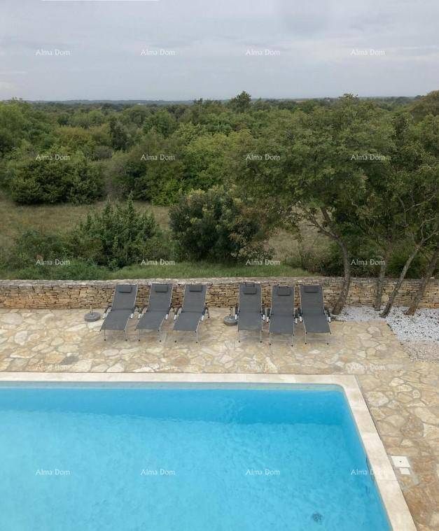 Panoramablick auf den Poolbereich mit Liegestühlen und weitreichender grüner Landschaft im Hintergrund.