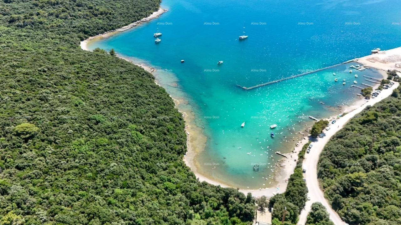 Atemberaubende Luftaufnahme einer ruhigen Bucht mit azurblauem Wasser und üppiger grüner Küstenlandschaft.