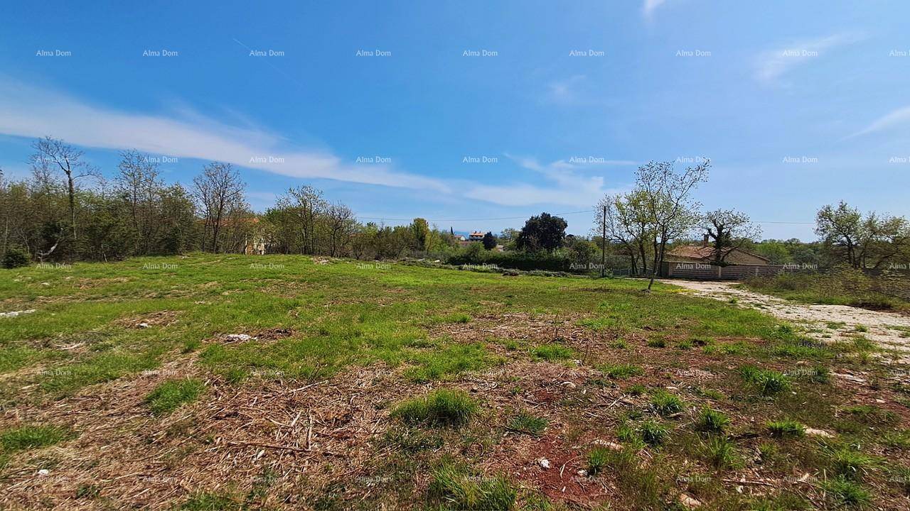Unbebautes Land mit Gras und Erde, umgeben von dichter Vegetation und einem klaren blauen Himmel.