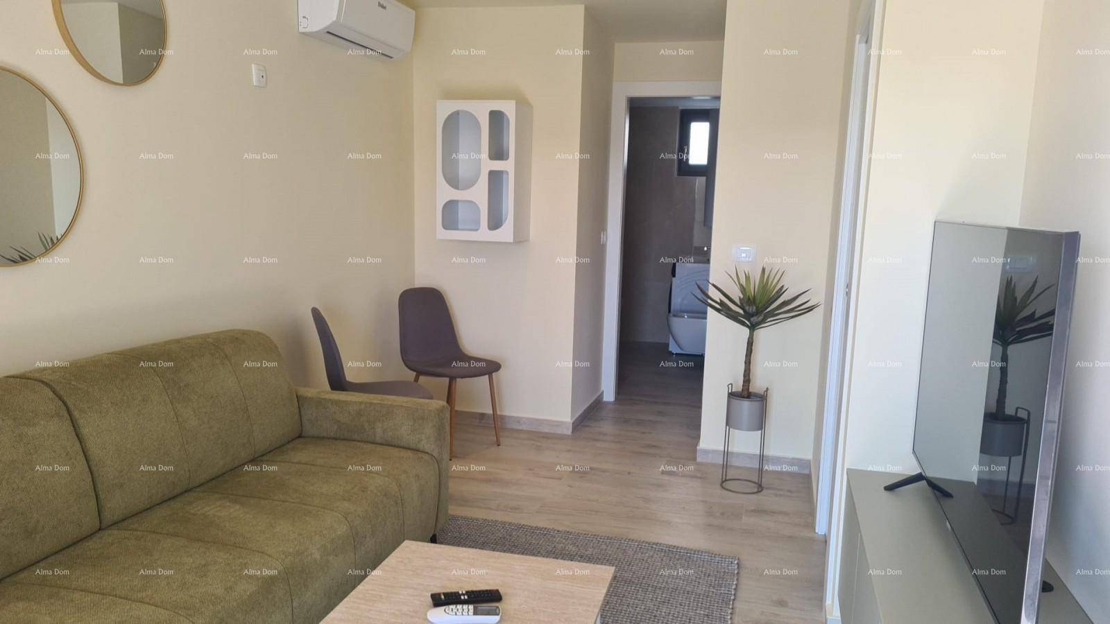 Helles Wohnzimmer mit Sofa, Fernseher und Blick auf den Flur und das Badezimmer.