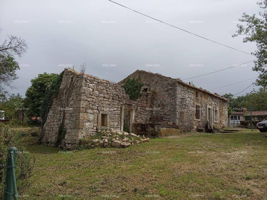 Verfallenes Steinhaus mit überwucherten Mauern und umliegendem Grasland unter bewölktem Himmel.