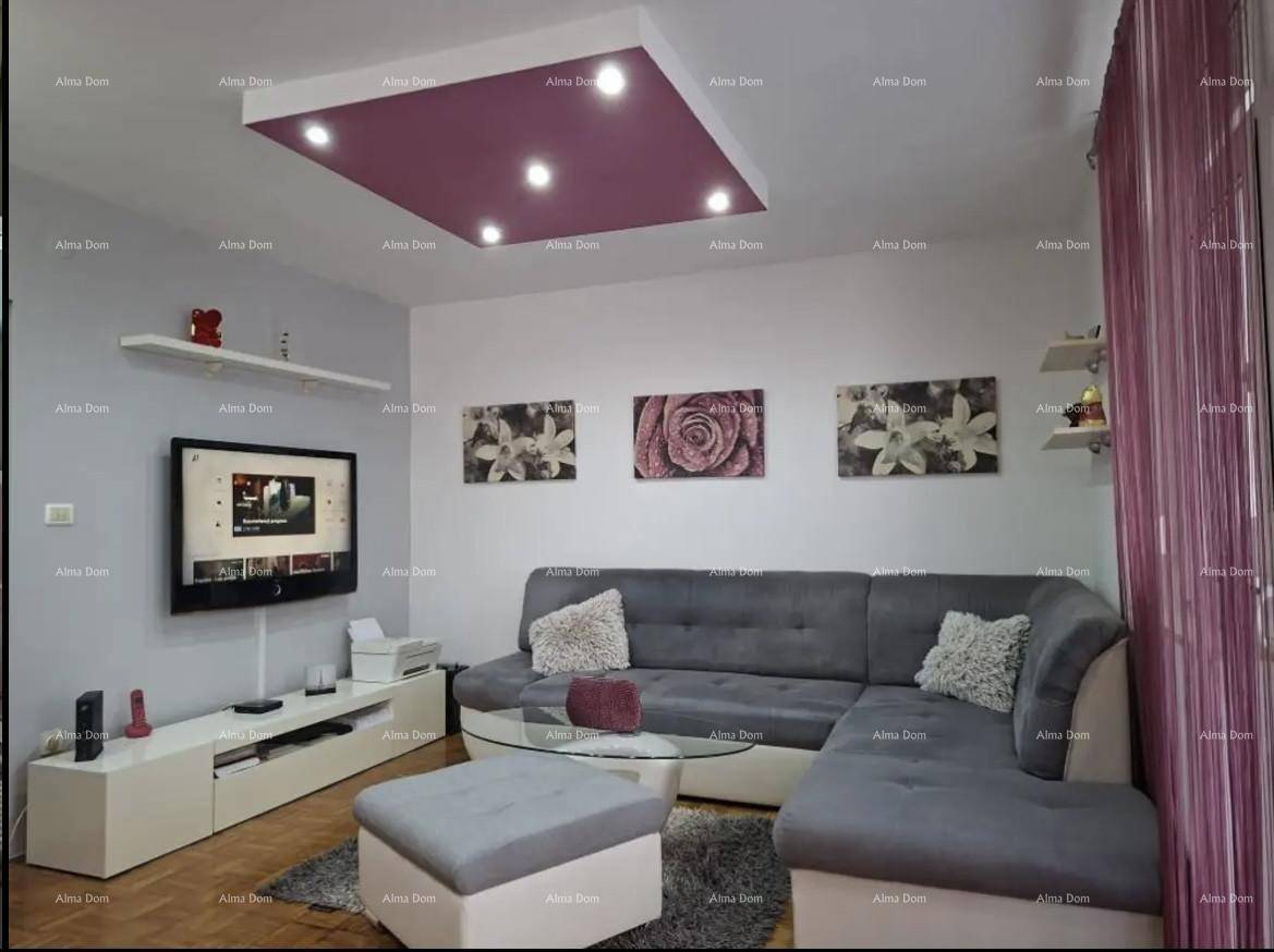 Gemütliches Wohnzimmer mit L-förmigem Sofa, modernem TV-Bereich und dekorativer Deckenbeleuchtung.