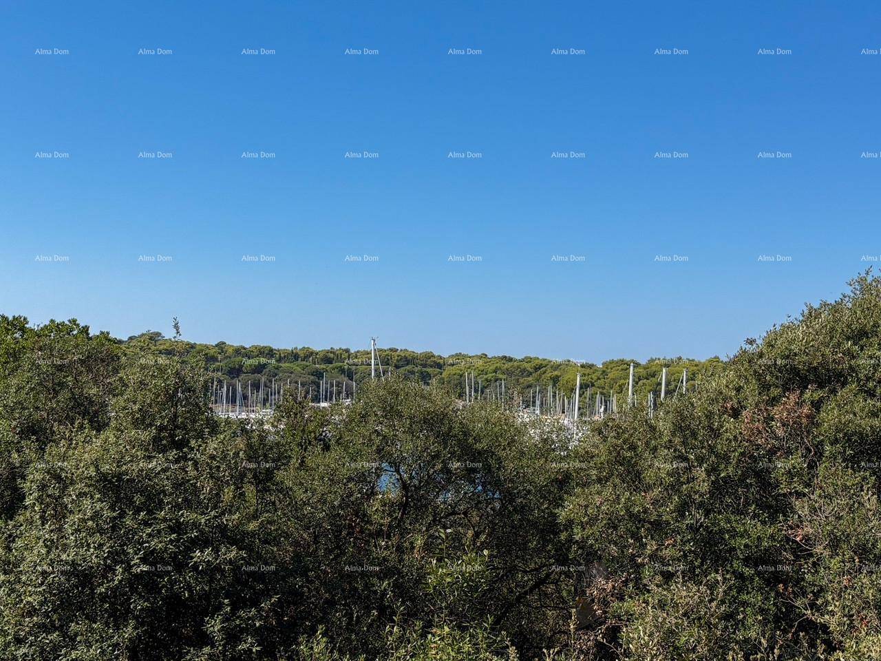 Weitläufiger Blick auf eine bewaldete Landschaft mit einem Yachthafen im Hintergrund unter klarem Himmel.