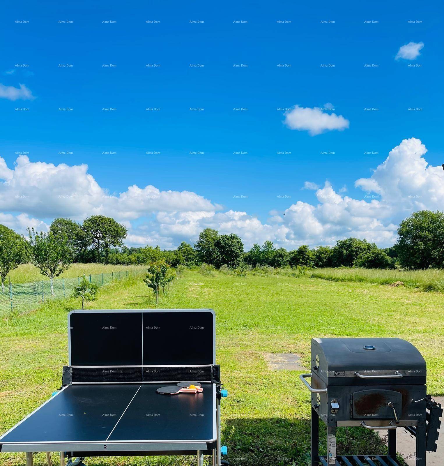 Grüner Garten mit Tischtennisplatte und einem Grillbereich, ideal für Freizeitaktivitäten im Freien.