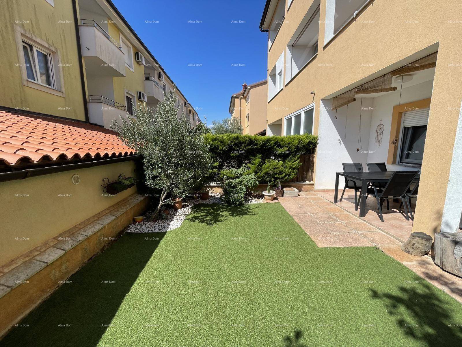 Gepflegter Gartenbereich mit Kunstrasen, Olivenbaum und einer kleinen Terrasse am Gebäude.