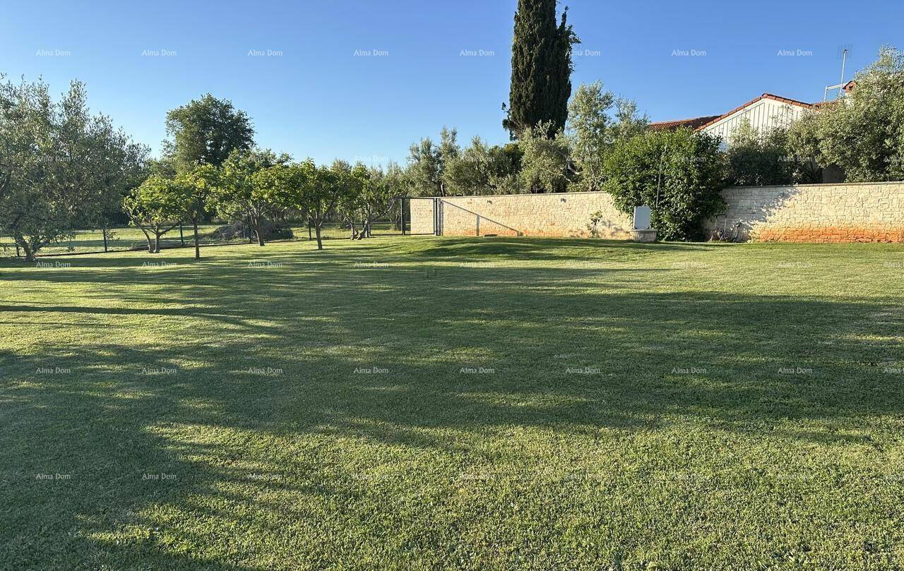Ausgedehnte Rasenfläche mit Bäumen und einer Natursteinmauer im Hintergrund, umgeben von viel Grün.