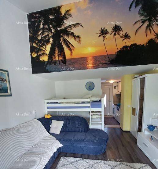 Gemütlicher Wohnbereich mit Sofa, Etagenbett und tropischem Wandbild, angrenzend an eine kleine Küchenzeile.