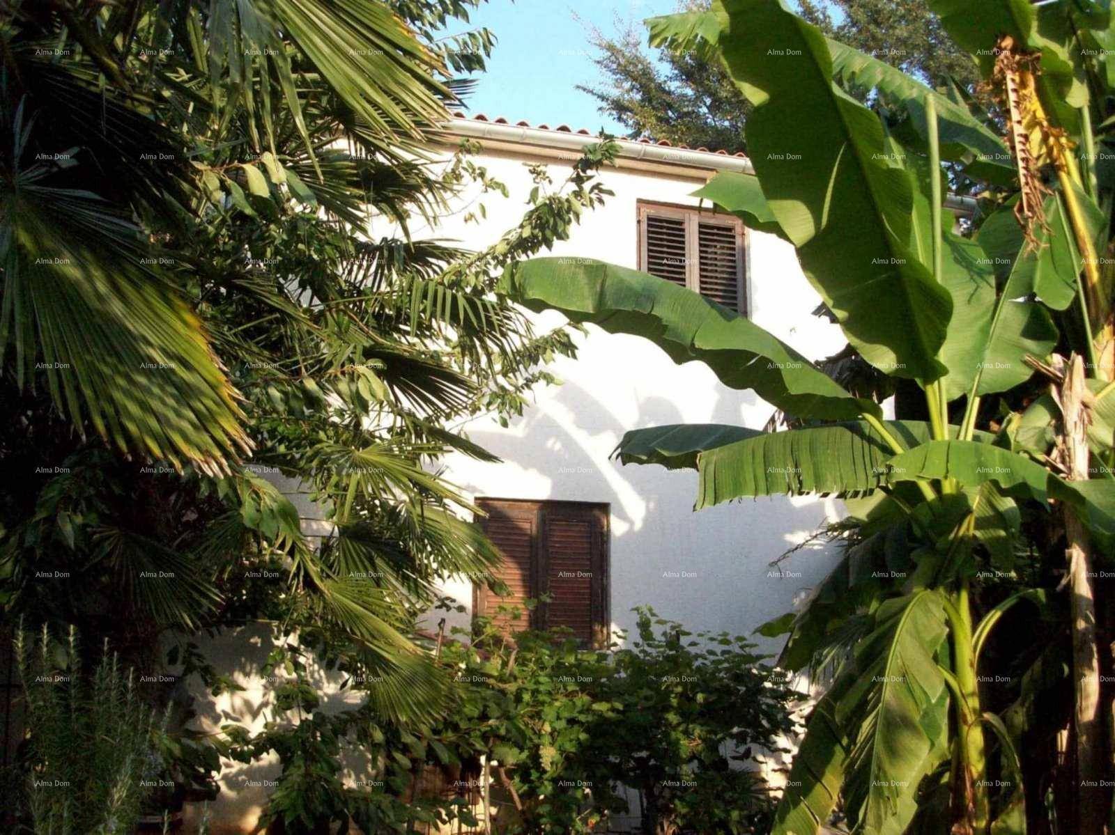 Teil der Hausfassade, umgeben von üppiger tropischer Vegetation und Bäumen.