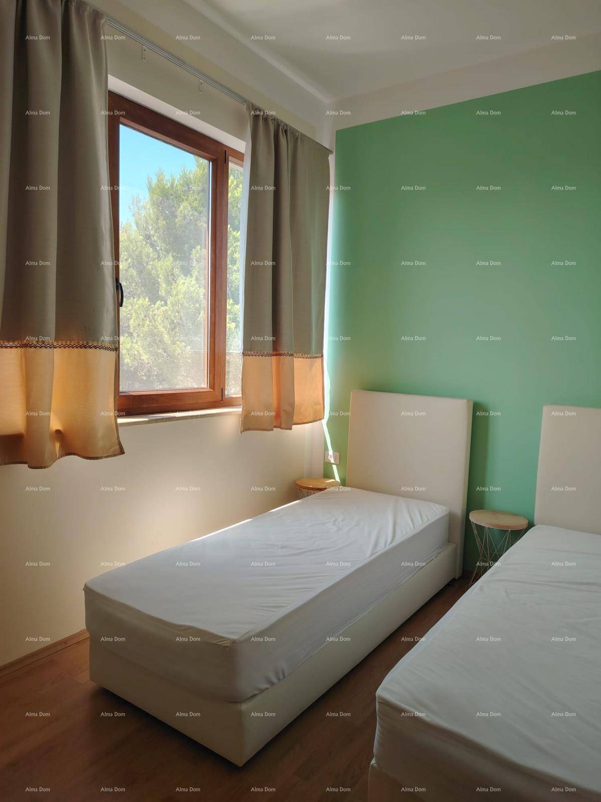Helles Schlafzimmer mit zwei Einzelbetten, grüner Akzentwand und großem Fenster für Tageslicht.