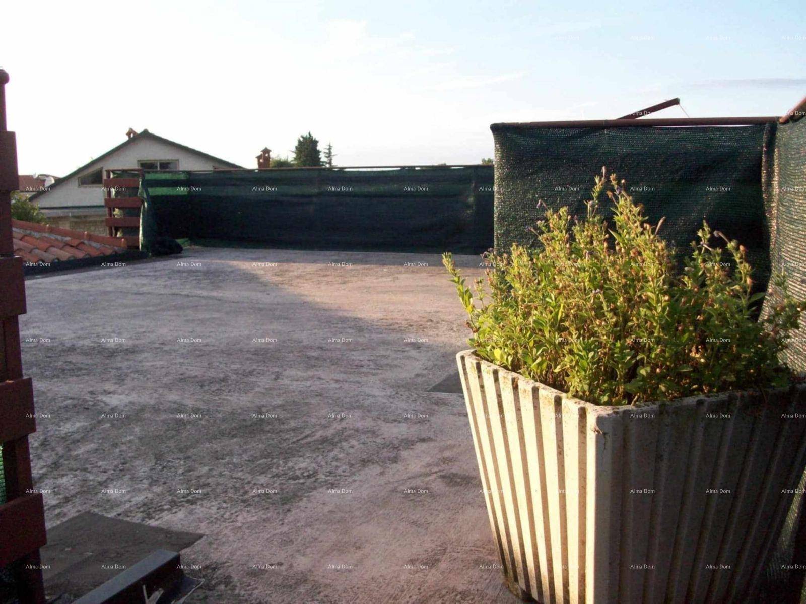 Flache Dachterrasse mit einem großen Pflanzkübel und weitem Blick.