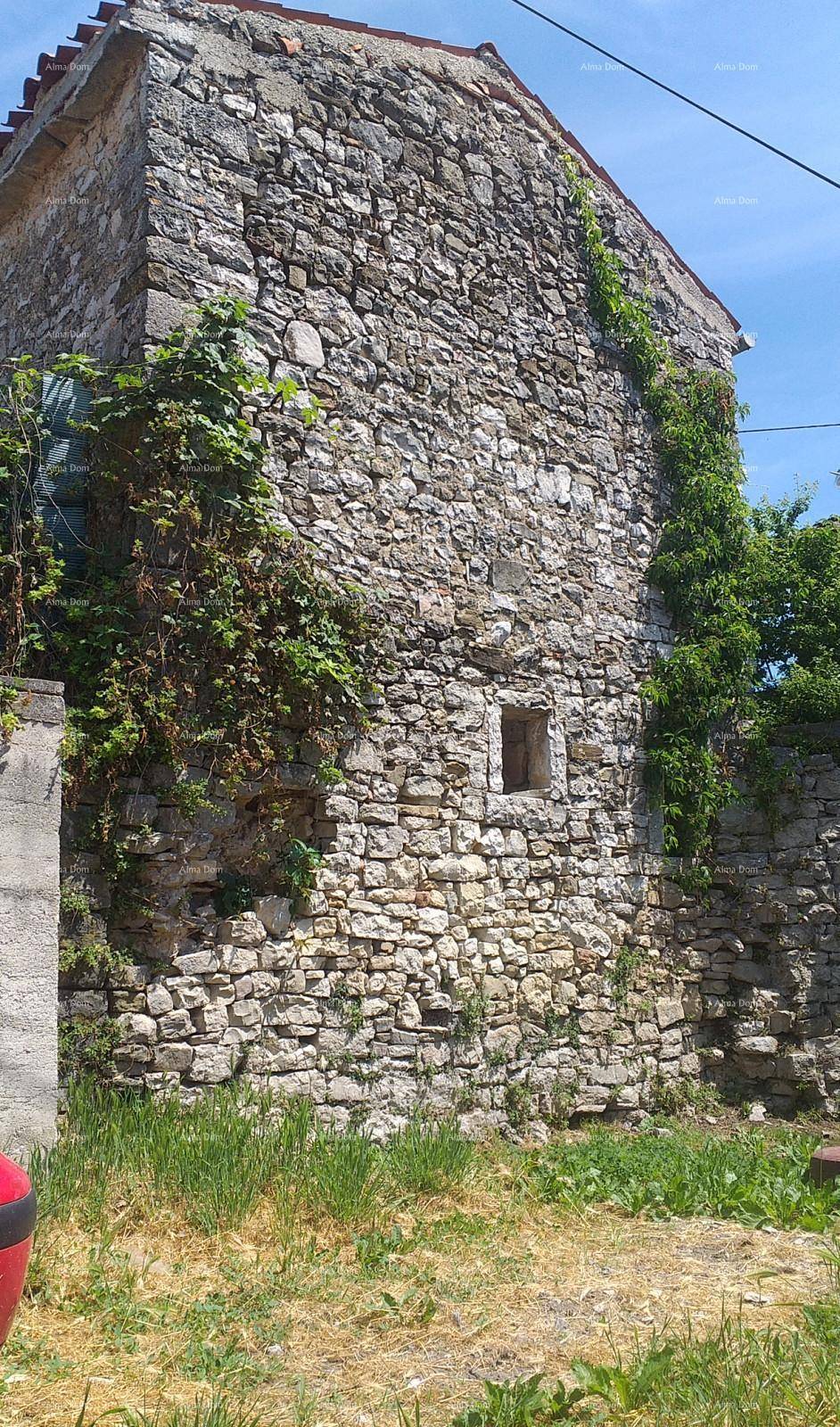 Nahaufnahme einer alten Steinmauer eines Gebäudes, teilweise mit Efeu bewachsen, unter blauem Himmel.