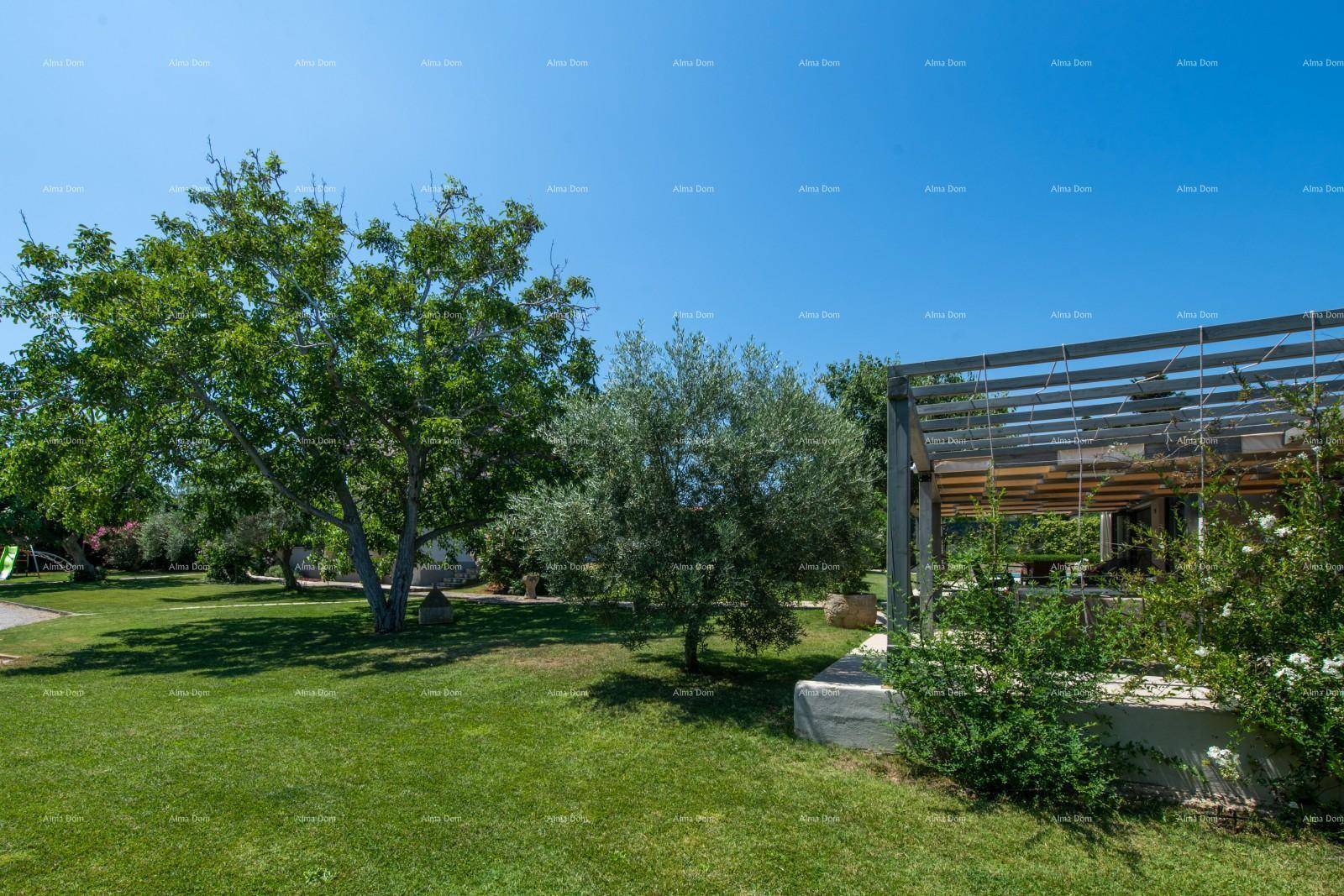 Großer, sonniger Garten mit alten Bäumen und einer modernen Pergola im Hintergrund.