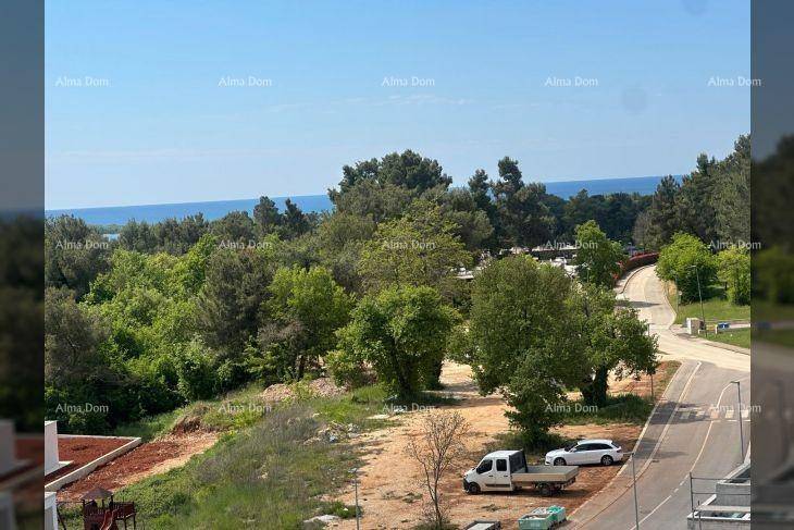 Weitläufiger Blick über die Straße, üppiges Grün und das blaue Meer in der Ferne.