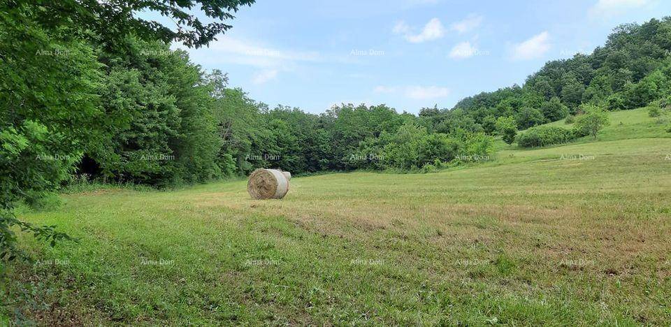 Grünes Feld mit einem Heuballen, umgeben von Bäumen und einem bewaldeten Hügel unter klarem Himmel.