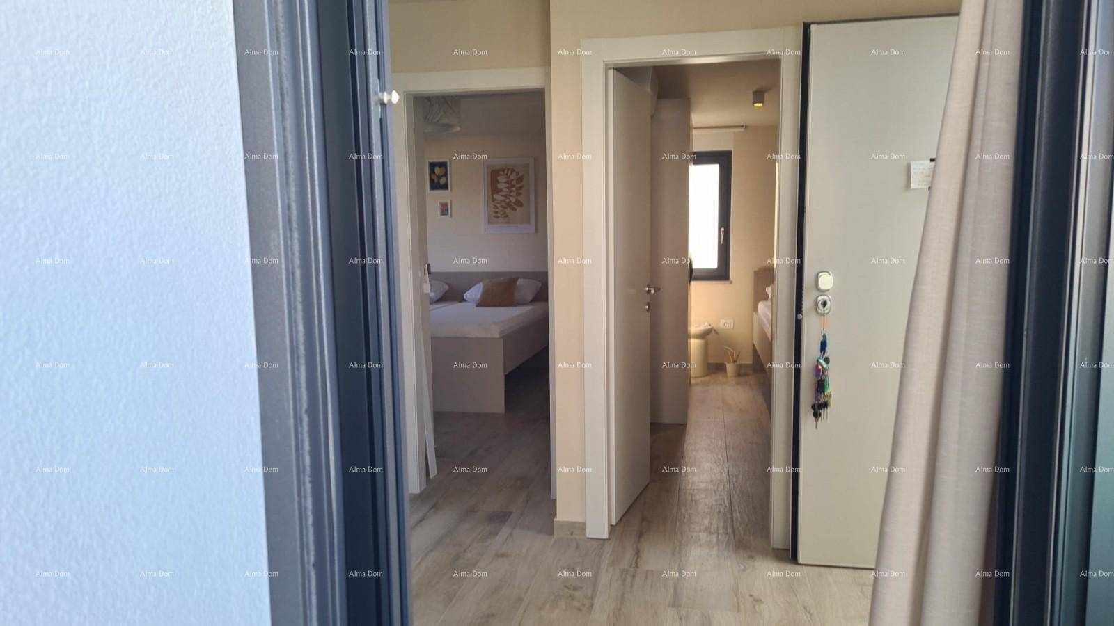 Heller Flur mit Holzboden und Zugang zu mehreren Zimmern der Wohnung, gut beleuchtet.