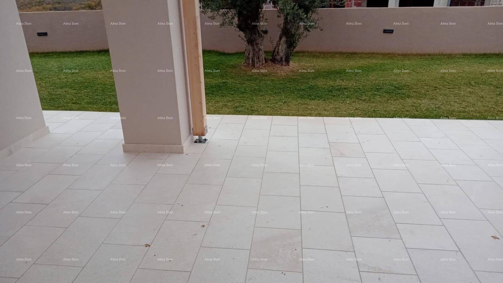 Gepflasterte Terrasse mit Blick auf den Garten und einen Olivenbaum.