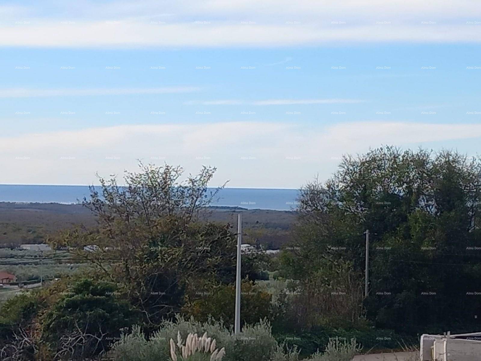 Weitläufiger Blick auf das Meer und die umliegende grüne Landschaft.