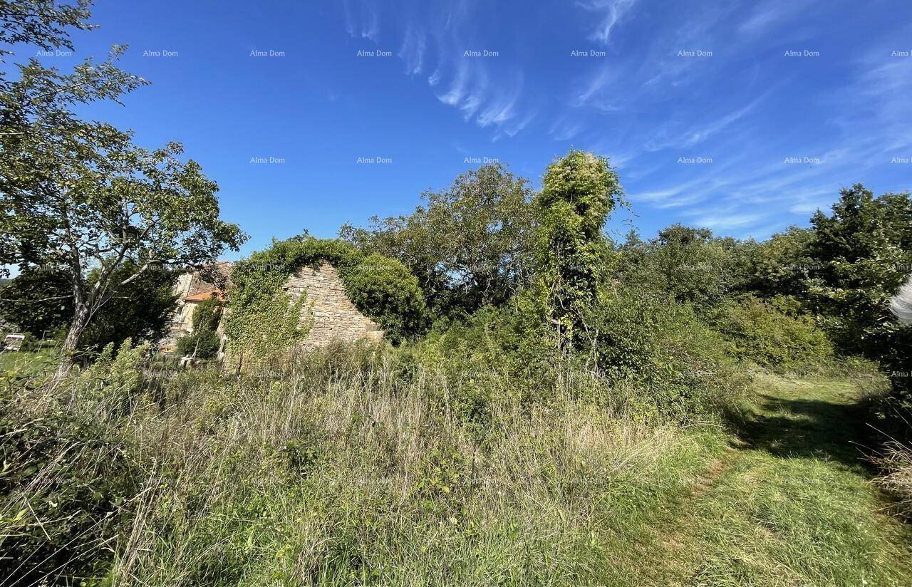 Weitläufige, verwilderte Landschaft mit Bäumen und Büschen, das alte Haus ist kaum sichtbar.