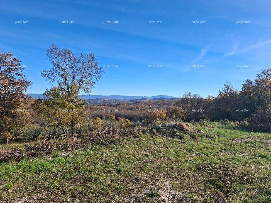 Herbstliche Landschaft mit Bäumen, Wiesen und einer weiten Aussicht auf die hügelige Umgebung.