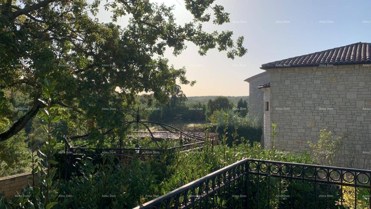 Malerischer Ausblick von einem Balkon über die grüne Landschaft und die umliegenden Bäume.