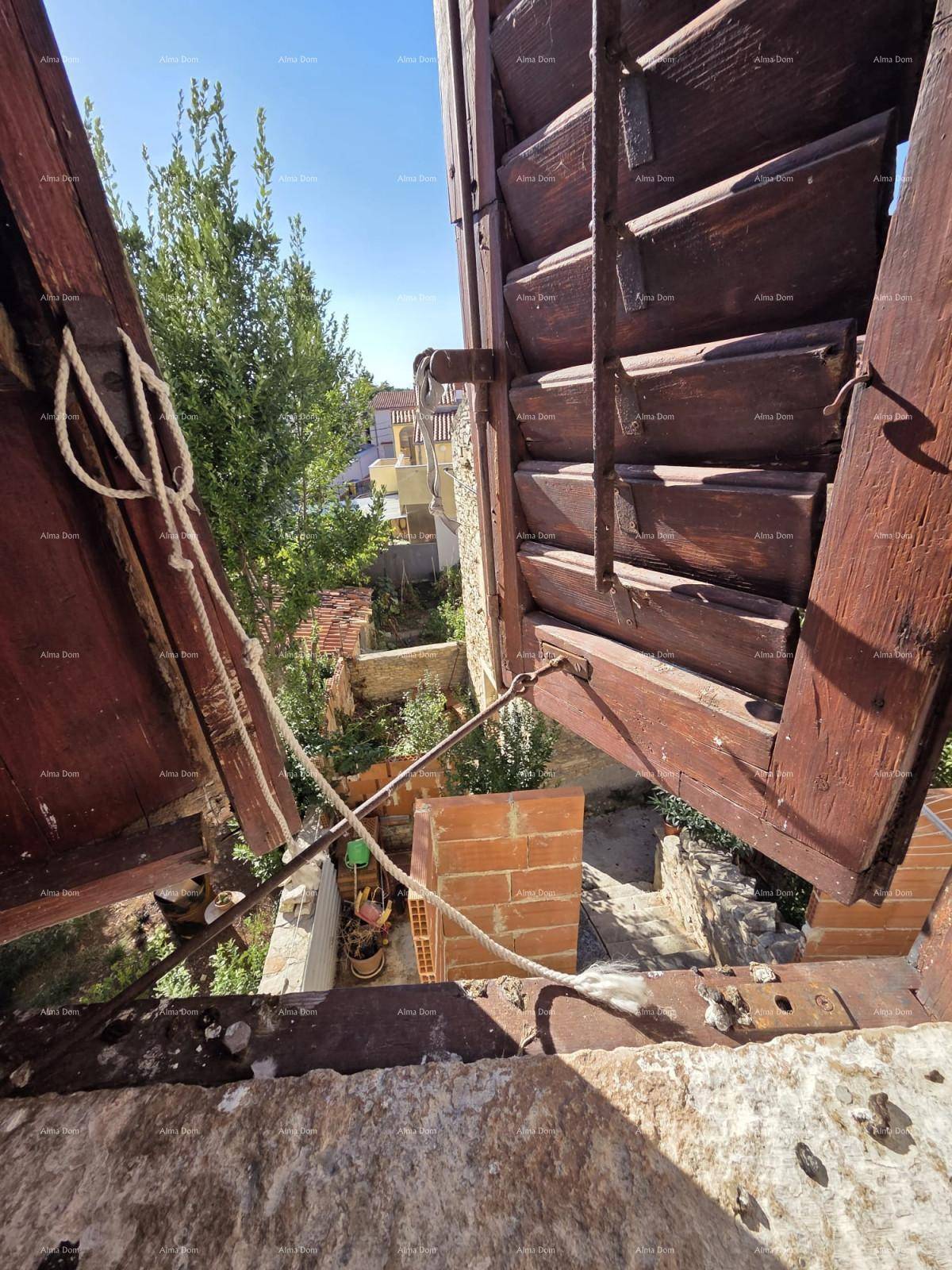 Blick aus einem Fenster mit geöffneten Holzläden auf einen verwilderten Gartenbereich und Nachbargebäude.