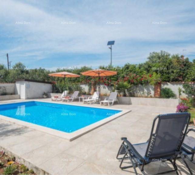 Entspannender Poolbereich mit Liegestühlen und Sonnenschirmen, umgeben von üppigem Grün und einer Mauer.