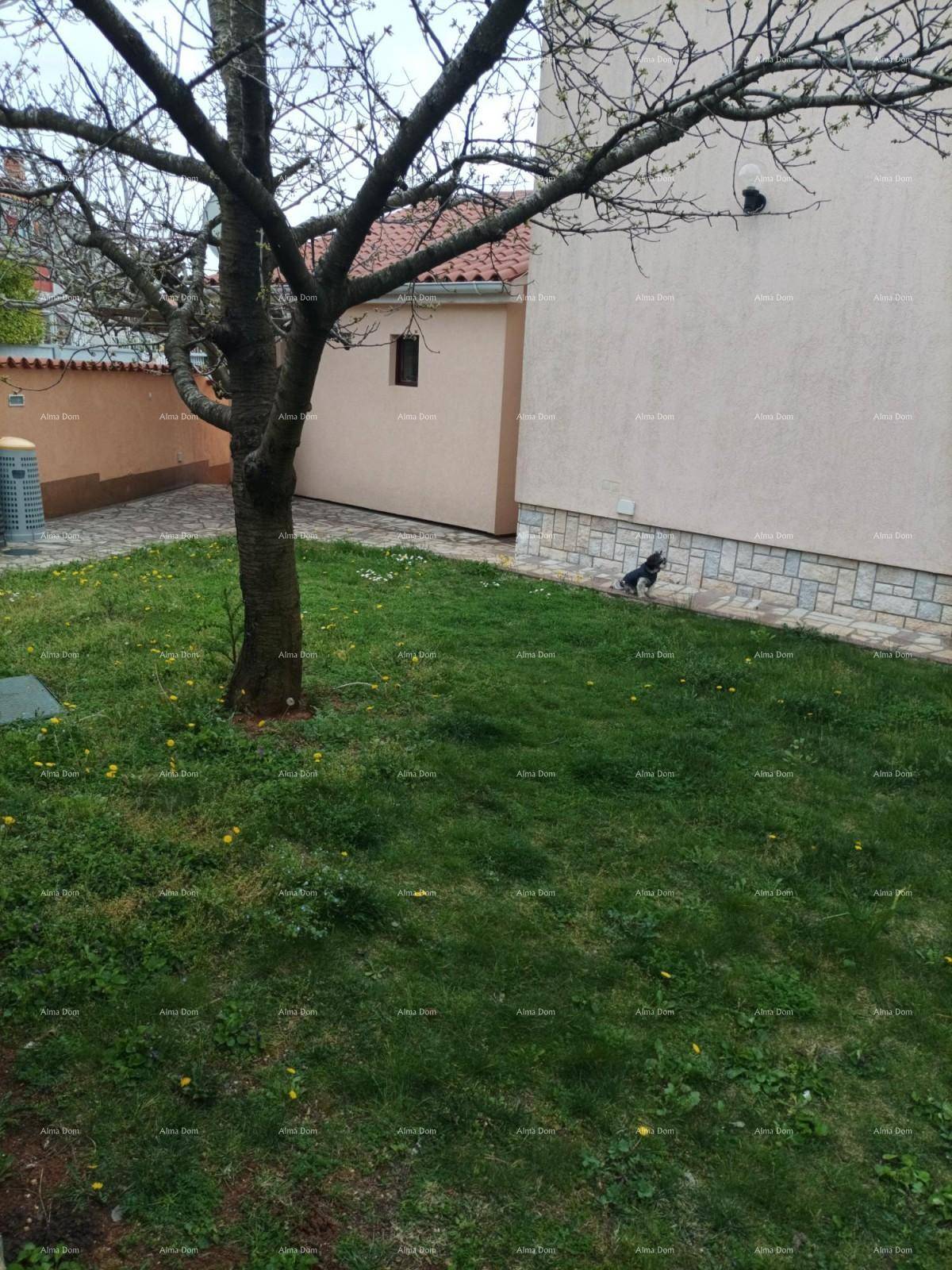 Kleiner Gartenbereich mit Rasen und einem Baum neben der Hausfassade.