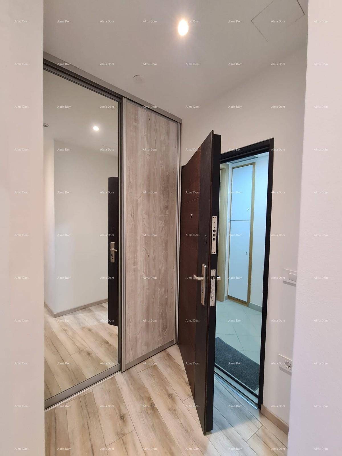 Eingangsbereich mit Sicherheitstür und Einbauschrank mit Holz- und Spiegeltüren.