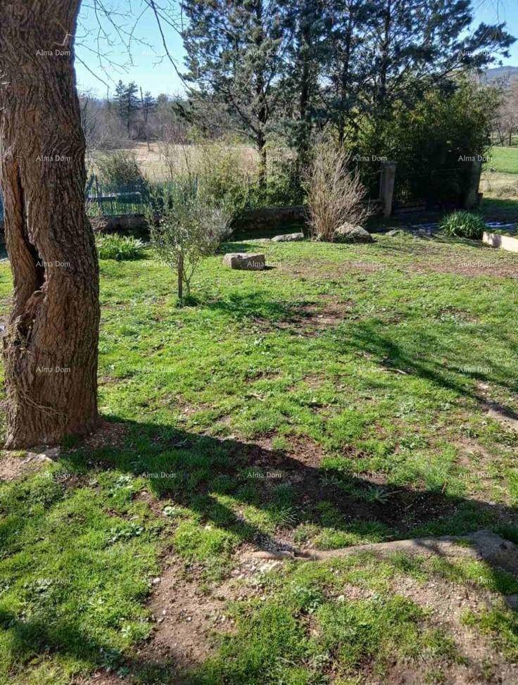 Weitläufiger Gartenbereich mit Bäumen und Blick auf die umliegende grüne Landschaft und Berge.