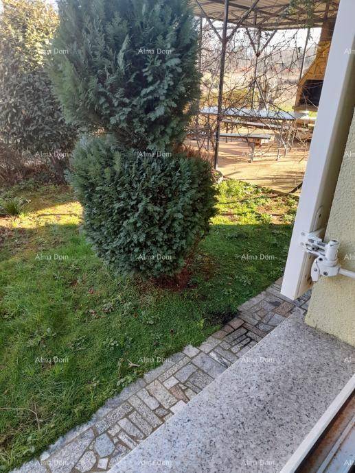 Gepflegter Gartenbereich mit Rasen, Sträuchern und einem gepflasterten Weg.
