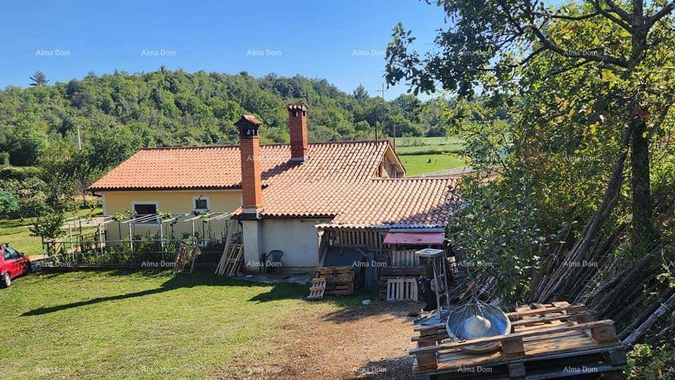 Rückseite des Hauses mit einem Bereich für Lagerung und einer großen Rasenfläche.
